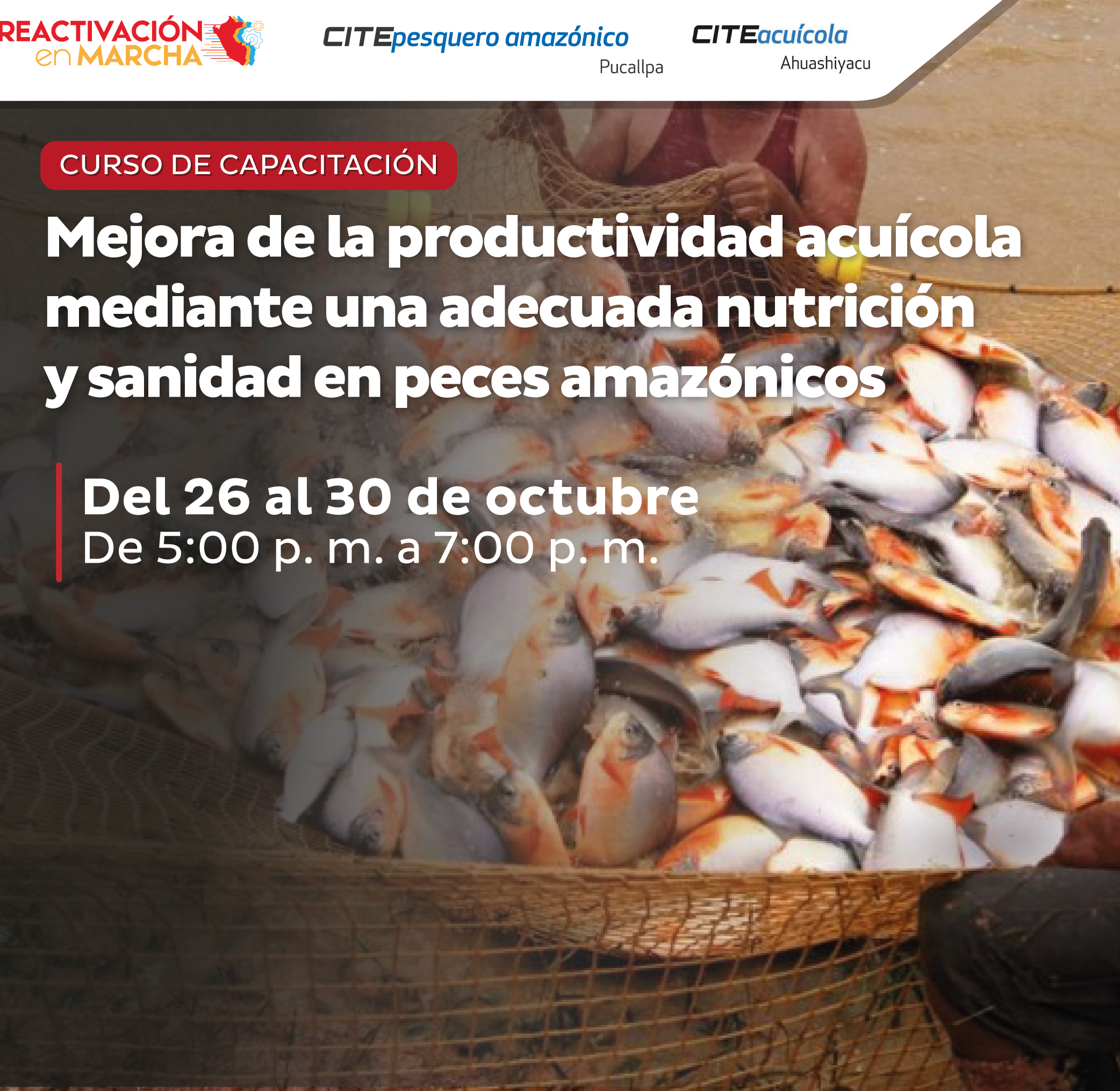 “Mejora de la productividad acuícola mediante una adecuada nutrición y  sanidad en peces amazónicos”