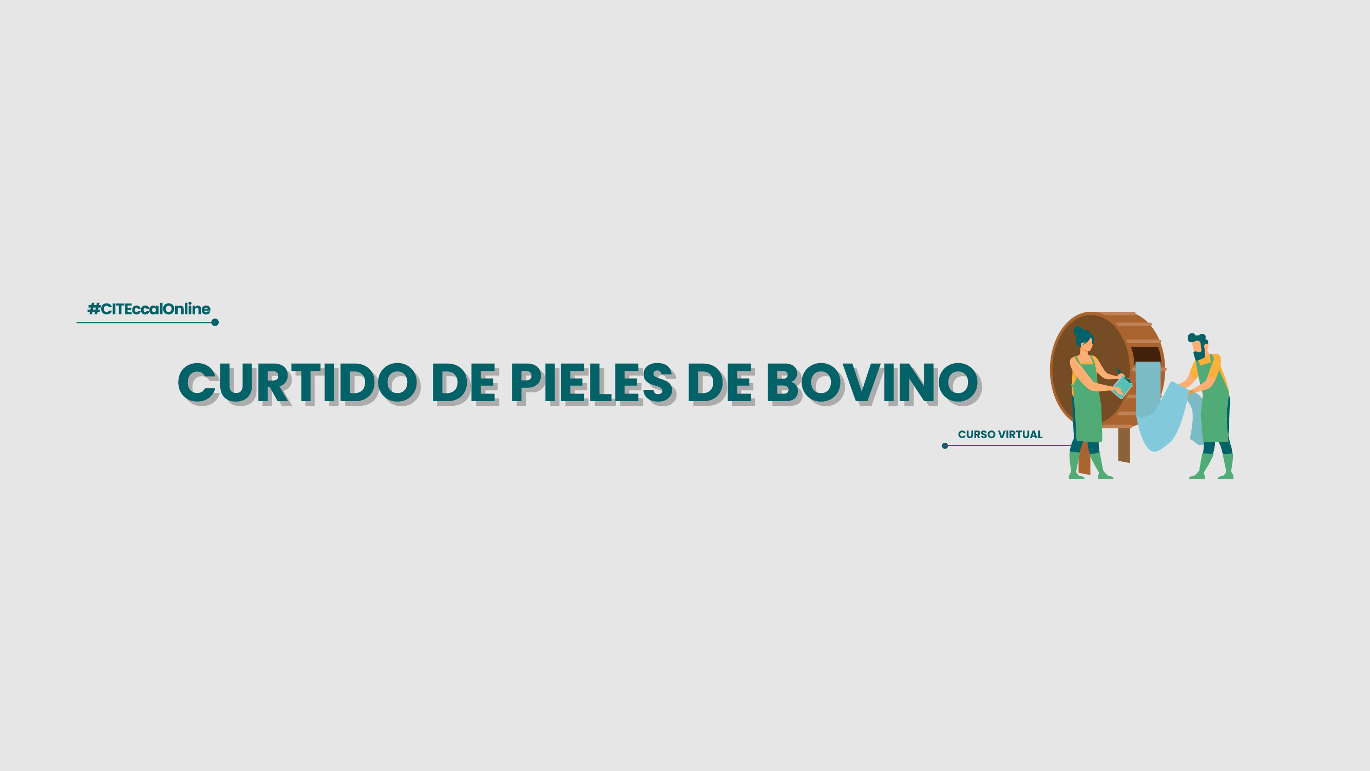 Curtido de pieles de bovino: Obtención del cuero Wet Blue